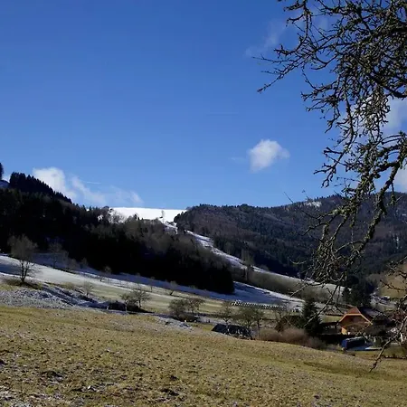 Tatil Evi Historisches Schwarzwaldhaus *