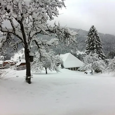 Historisches Schwarzwaldhaus Tatil Evi