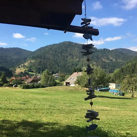 Historisches Schwarzwaldhaus Semesterbostad