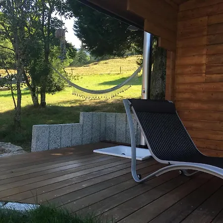 Historisches Schwarzwaldhaus Tatil Evi Todtnau