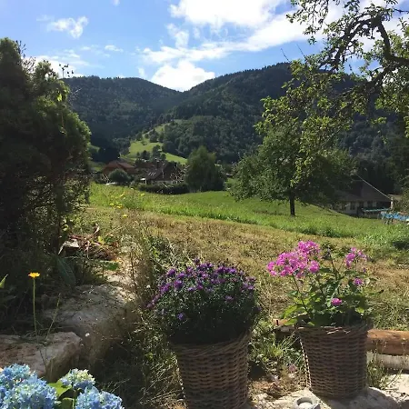 Historisches Schwarzwaldhaus Tatil Evi