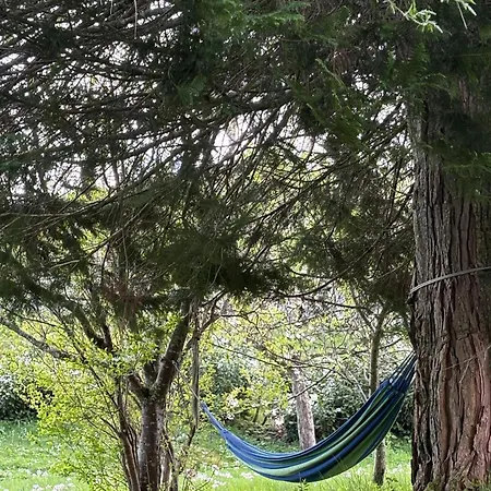 Historisches Schwarzwaldhaus *