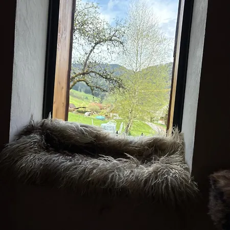 Historisches Schwarzwaldhaus Semesterbostad