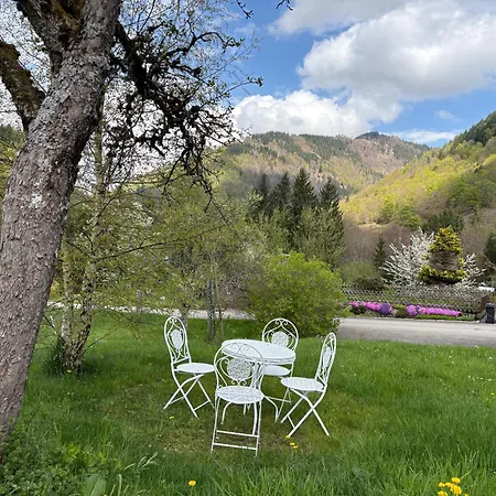 Historisches Schwarzwaldhaus Tatil Evi *