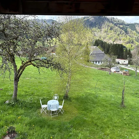 Historisches Schwarzwaldhaus Semesterbostad Todtnau
