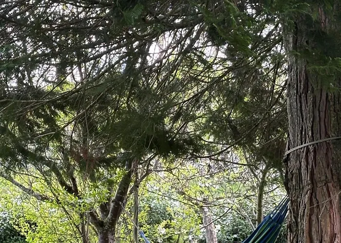 Historisches Schwarzwaldhaus *