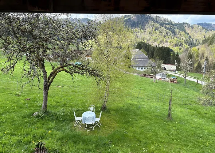 Historisches Schwarzwaldhaus Casa de Férias Todtnau